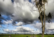 TF gaming-关于多特蒙德主场逆转，压哨绝杀柏林赫塔，创造惊天大逆转胜利的信息