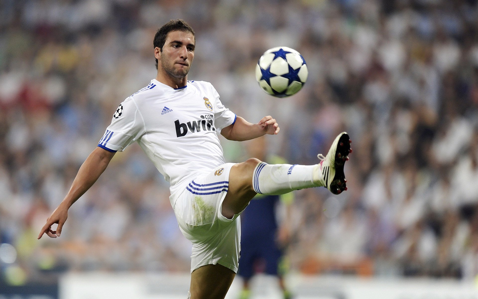 灰熊一波带走辽宁队，切特带动全队节奏